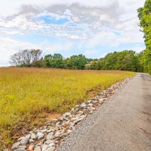 Photo #79 of 1704 Dearing Ford Road, Altavista, VA 79.5 acres