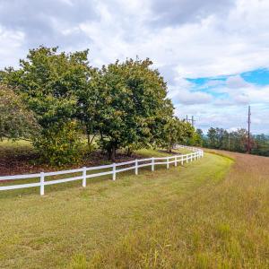 Photo #88 of 1704 Dearing Ford Road, Altavista, VA 79.5 acres