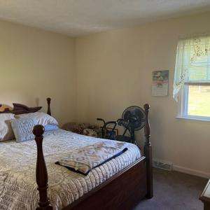 Photo #8 of 200 Jenkins Creek Road, Cullen, VA 6.8 acres