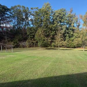 Photo #24 of 200 Jenkins Creek Road, Cullen, VA 6.8 acres