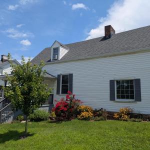 Inlcuded to show front flowers in bloom