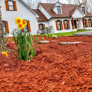 Photo #5 of 264 Robinson Drive, Lynchburg, VA 4.3 acres