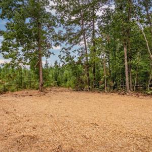 Photo #45 of 594 Community Road, Dillwyn, VA 2.1 acres