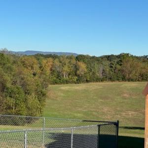 Photo #49 of 6223 Joppa Mill Rd, Moneta, VA 2.1 acres