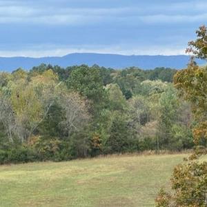 Photo #54 of 6223 Joppa Mill Rd, Moneta, VA 2.1 acres