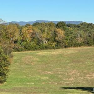 Photo #53 of 6223 Joppa Mill Rd, Moneta, VA 2.1 acres