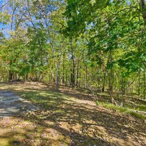 Photo #38 of 1900 TWIN LAKE Drive, Bedford, VA 10.0 acres