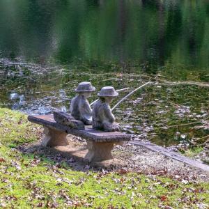 Photo #51 of 224 Walnut Road, Danville, VA 45.5 acres