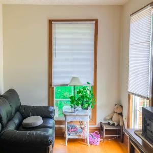 Photo #19 of 224 Walnut Road, Danville, VA 45.5 acres