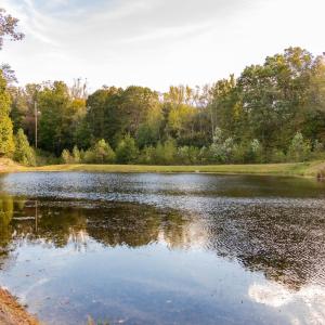 Photo #50 of 224 Walnut Road, Danville, VA 45.5 acres