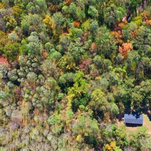 Photo #31 of 209 Willowridge Drive, Thaxton, VA 5.0 acres
