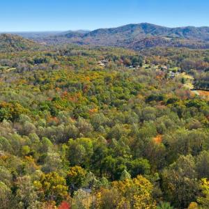 Photo #3 of 209 Willowridge Drive, Thaxton, VA 5.0 acres