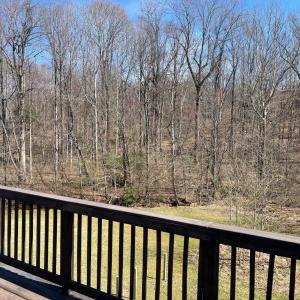 Photo #40 of 1712 Arkansas Avenue, Lynchburg, VA 0.8 acres