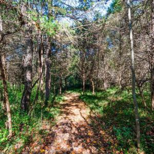 Photo #46 of 1170 Nickolas Berten Way, Lynchburg, VA 1.8 acres