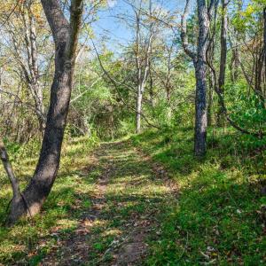 Photo #47 of 1170 Nickolas Berten Way, Lynchburg, VA 1.8 acres