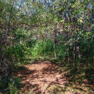 Photo #48 of 1170 Nickolas Berten Way, Lynchburg, VA 1.8 acres