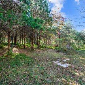 Photo #45 of 1170 Nickolas Berten Way, Lynchburg, VA 1.8 acres
