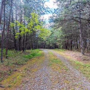 Photo #43 of 199 Peninsula Point, Lynch Station, VA 2.6 acres