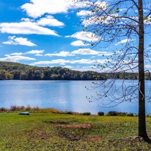 Photo #53 of 199 Peninsula Point, Lynch Station, VA 2.6 acres