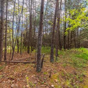 Photo #44 of 199 Peninsula Point, Lynch Station, VA 2.6 acres