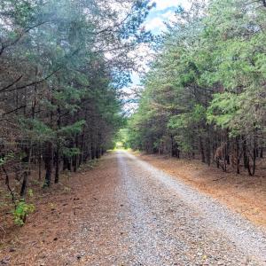 Photo #45 of 199 Peninsula Point, Lynch Station, VA 2.6 acres