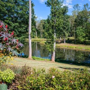 Photo #4 of 1453 Willow Oak Drive, Forest, VA 0.5 acres