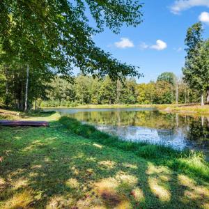 Photo #91 of 1453 Willow Oak Drive, Forest, VA 0.5 acres