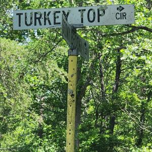 Photo #56 of 195 Turkey Top Cir, West Augusta, VA 4.9 acres