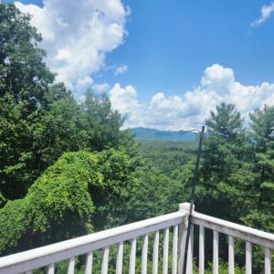 Photo #41 of 195 Turkey Top Cir, West Augusta, VA 4.9 acres