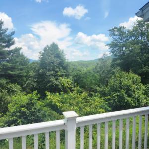 Photo #26 of 195 Turkey Top Cir, West Augusta, VA 4.9 acres