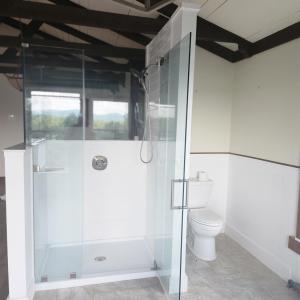 Primary bedroom shower