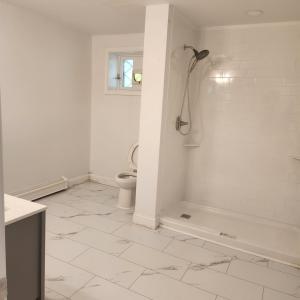 Basement Bathroom