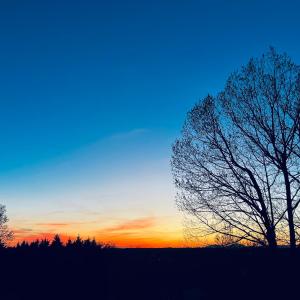 Photo #5 of 151 Wilderness Road, Rustburg, VA 0.5 acres