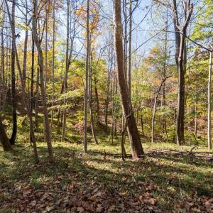 Photo #28 of 214 Riverwood Drive, Madison Heights, VA 7.5 acres