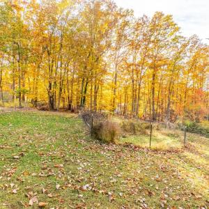 Photo #39 of 241 Old Pocket Road, Lynch Station, VA 0.9 acres