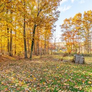 Photo #37 of 241 Old Pocket Road, Lynch Station, VA 0.9 acres