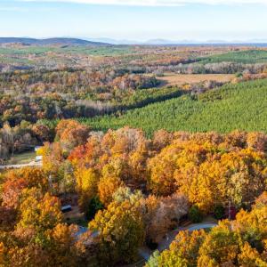 Photo #44 of 241 Old Pocket Road, Lynch Station, VA 0.9 acres