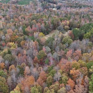 Photo #29 of 1091 Acorn, Nathalie, VA 26.4 acres