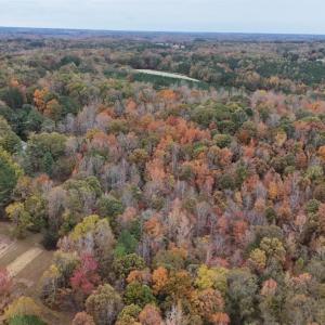 Photo #4 of 1091 Acorn, Nathalie, VA 26.4 acres