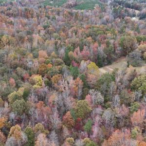 Photo #28 of 1091 Acorn Road, Nathalie, VA 26.4 acres