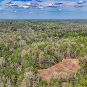 Photo #5 of 1091 Acorn Road, Nathalie, VA 20.4 acres