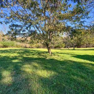 Photo #35 of 255 Glade Road, Madison Heights, VA 8.4 acres