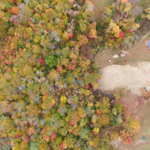 Photo #41 of 2441 River Road, Madison Heights, VA 1.5 acres