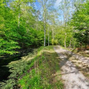 Photo #70 of 4067 Dickerson Mill Road, Bedford, VA 73.5 acres