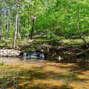 Photo #46 of 4067 Dickerson Mill Road, Bedford, VA 73.5 acres