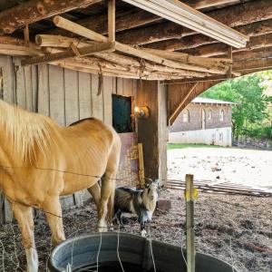 Photo #38 of 4067 Dickerson Mill Road, Bedford, VA 73.5 acres