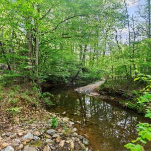 Photo #44 of 4067 Dickerson Mill Road, Bedford, VA 73.5 acres