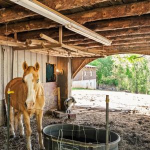 Photo #37 of 4067 Dickerson Mill Road, Bedford, VA 73.5 acres