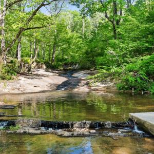 Photo #50 of 4067 Dickerson Mill Road, Bedford, VA 73.5 acres