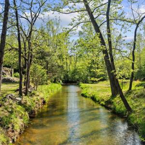 Photo #62 of 4067 Dickerson Mill Road, Bedford, VA 73.5 acres